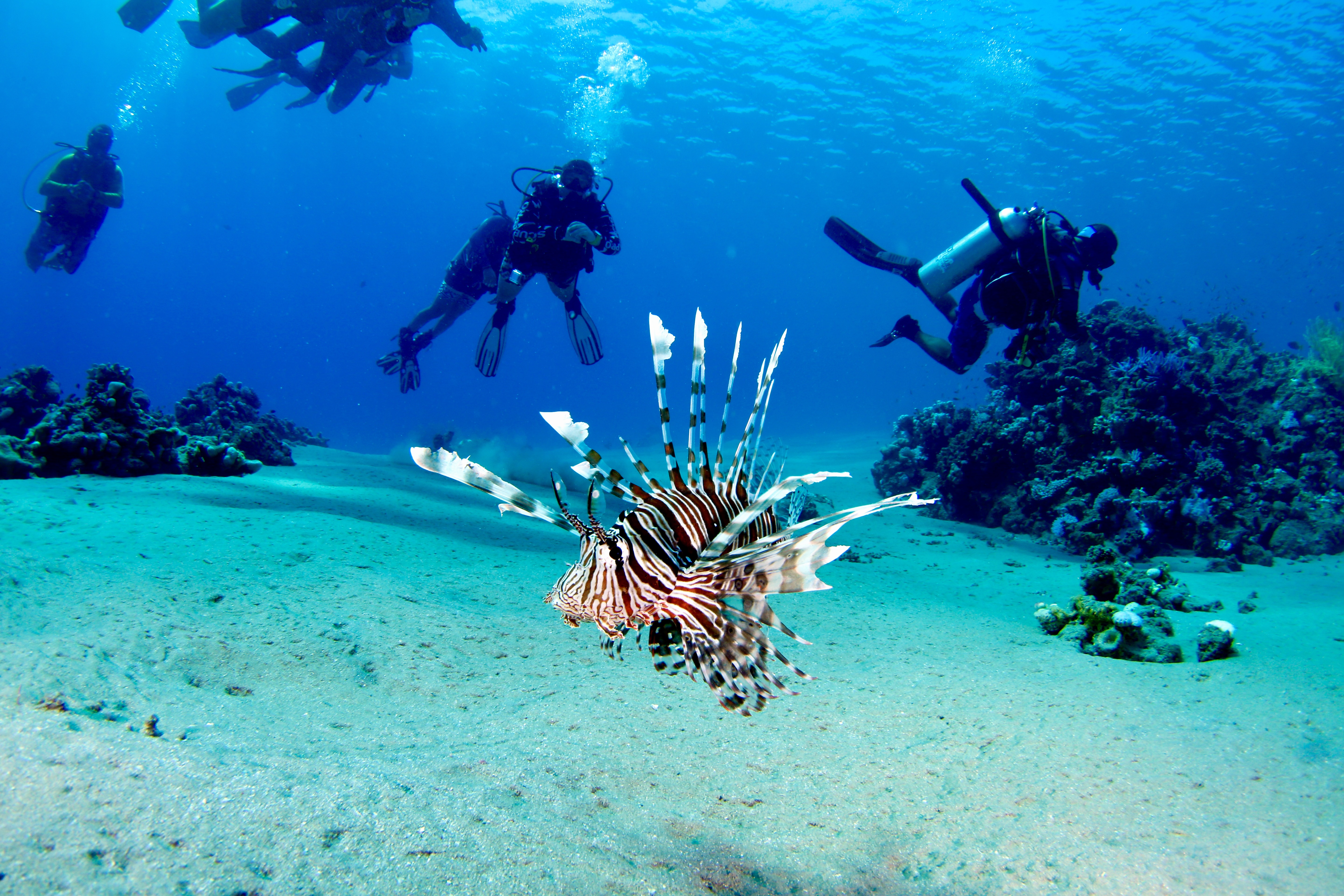 Advanced Open Water Diver